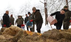 DÜZCE'DE YABAN HAYVANLARI İÇİN DOĞAYA YEM BIRAKILDI