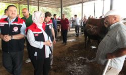 KURBAN BAYRAMI ÖNCESİ HAYVAN SATIŞ YERİNDE DENETİM YAPILDI