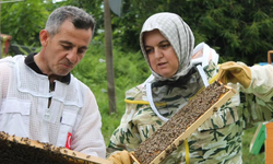 DÜZCE'DE COĞRAFİ İŞARETLİ KESTANE BALI SAĞIMI BAŞLADI