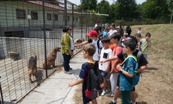 TÜGVA YAZ OKULU ÖĞRENCİLERİNDEN CAN DOSTLARA ZİYARET