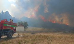 KIZILCAHAMAM'DA BAŞLAYAN YANGIN BOLU'YA SIÇRADI