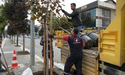 PARK VE BAHÇELER ÇALIŞMALARINI SÜRDÜRÜYOR