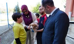 YAVRU KÖPEK ‘ÖZEL’ OKULA TESLİM EDİLDİ